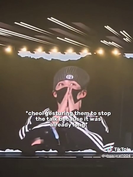 Scoups Protecting and Monitoring Seventeen Members | Scary Leader Choi Seungcheol