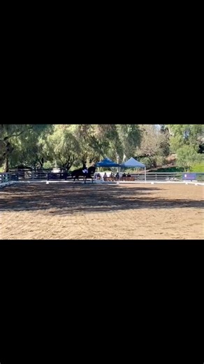 We are pleased to announce that Pharaoh DG has completed his stallion licensing for GOV and KWPN-NA this past week at the North American Stallion Sport-horse Testing. He had a top score of 84 points. The judges praised him for his power, balance, work ethic, and quality of gates. Not only are we thrilled for these results but also the exciting accomplishment of his sire Koning DG by Bordeaux x Jazz. Koning DG also finished as the champion in the NASST. Koning DG’s offspring have proven to be ver