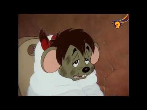 Female Mouse Sneezes From Dust & Cold