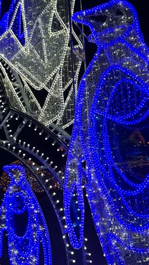 The penguin display is ready to shine at Wild Lights (and so are the real-life penguins!)✨ 🐧 Penguin & Puffin Coast is open late until 8 p.m. again during Wild Lights this year! Wild Lights presented by Commerce Bank opens tonight and runs select nights through Dec. 29. Don't miss the chance to experience over 1 million twinkling lights, festive menus and a showing of "Rudolph the Red-Nosed Reindeer 4D" in the 4D theater included with admission, among other attractions. The Bayer Insectarium an