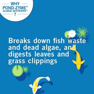 Use API® POND-ZYME® SLUDGE DESTROYER™ to remove sludge build-up in your pond quickly and effectively, leaving you more time to admire your pond this season! Purchase your API® pond essentials here: https://amzn.to/2JEdp0Q | API Fishcare