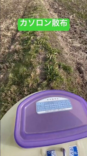 畦畔管理の軽減策 #農業 #畦畔管理#farming #カソロン