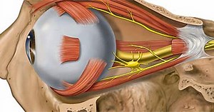 Eye-controlled game shown at CES