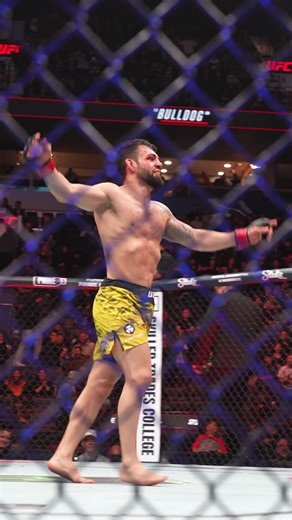 Bruno Silva Secures Victory in UFC Fight