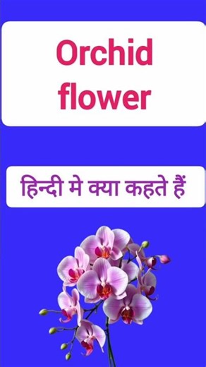 Flowers name Orchid flower | Orchid flower meaning in Hindi #orchid flower #flowers