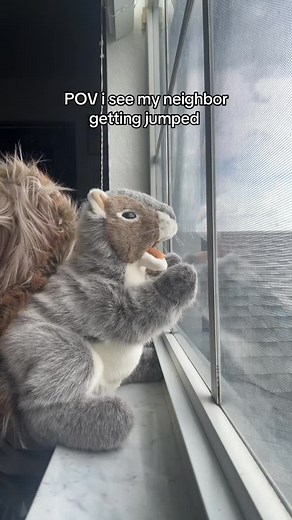 nibs on Instagram: "from right here 👇 #nibsgonewild"