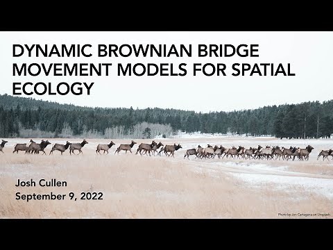 Estimating Space-Use with Dynamic Brownian Bridge Movement Models | Lecture