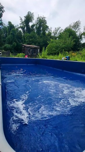 beautiful liner. makes the water look blue. #ingroundpool #poolside #installation #summervibes #liners #liners #blueliner