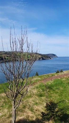 Experience the stunning coastal scenery in Newfoundland and Labrador on our trails. #explorenl #newfoundland #iceberg | Visit Newfoundland and Labrador