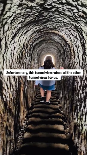 Discover Dunedin’s Secret Coastal Gem ✨🌊 Just 11 mins from Dunedin city centre, Tunnel Beach is one of Aotearoa’s most dramatic coastal walks — rugged sandstone cliffs, ancient rock arches, and a hand‑carved tunnel to a secluded beach make this a must‑visit for nature lovers and photographers alike. 📸🇳🇿 🚶‍♂️ Walk Details: • 🌿 Distance: ~2.6 km return (about 1 hr) • 📍 Start: Tunnel Beach Road car park, off Blackhead Road • 📉 Terrain: Well‑formed gravel track with steep sections — good sho