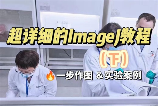 超详细的ImageJ教程（下），一步作图，小白也能快速出图