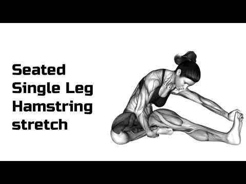 seated single leg hamstring stretch