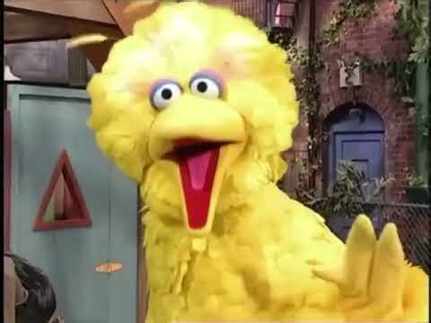 Sesame Street - Big Bird plays "Imagination Zoo"