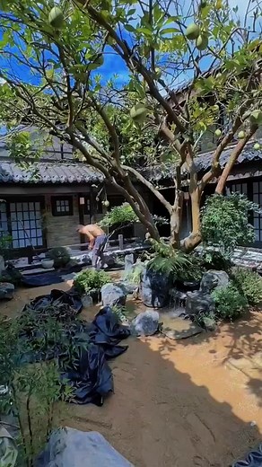 garden_crafts6 on TikTok