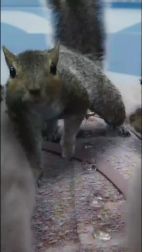 Veruca Salt-Charlie and the Chocolate Factory(2005)