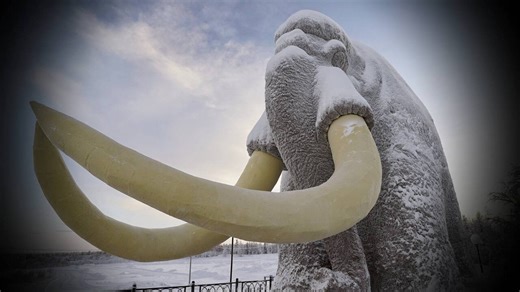 Mammoth fossils found in B.C. date back 45,000 years, researcher says