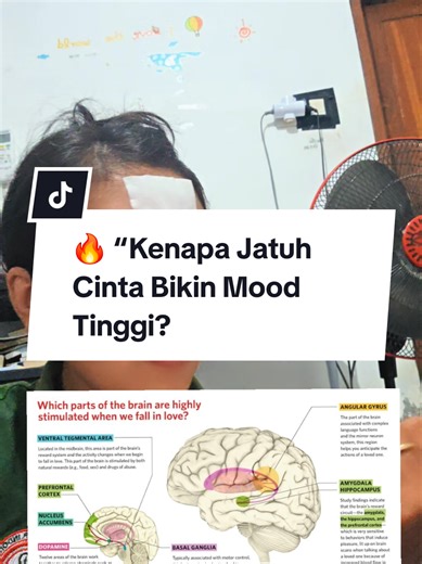 🔥 “Kenapa Jatuh Cinta Bikin Mood Tinggi?” “Jatuh cinta bikin nggak bisa tidur tapi nggak capek? Itu dopamin & norepinefrin naik. Oksitosin bikin rasa dekat dan aman. Cinta itu bukan cuma perasaan. Itu reaksi kimia yang powerful banget 🧠❤️” “Tag pasanganmu yang bikin dopaminmu naik.” 📚 Referensi: Fisher HE et al. Romantic love fMRI study. J Comp Neurol, 2005. Acevedo BP et al. Long-term romantic love brain imaging. Soc Cogn Affect Neurosci, 2012. Zeki S. Neurobiology of love. FEBS Lett, 2007.