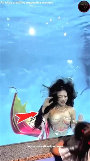 The Shocking Truth Behind Mermaids 😱 #facts #amazingfacts #factshorts #new #factsdastan #allfacts