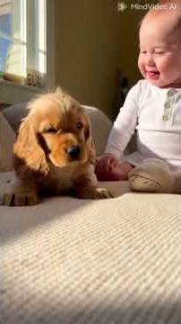 Puppy snores louder than thunder 😴🐶