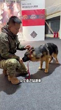 Master Puppy Training: Building Trust in 5 Simple Steps