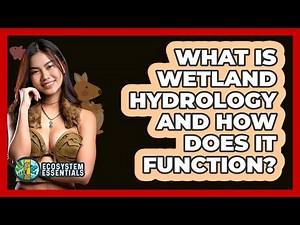 What Is Wetland Hydrology And How Does It Function? - Ecosystem Essentials