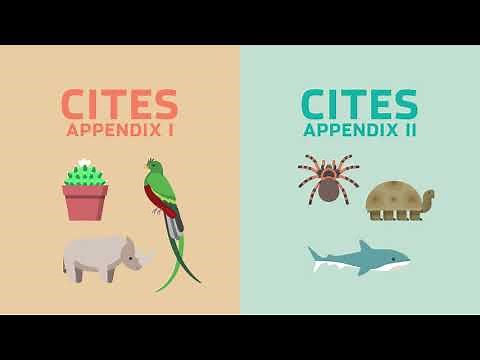 Supporting Sustainable Trade of CITES Species