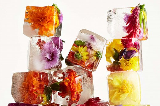 How to Make Prettier Ice Cubes