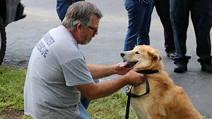 Arson dog's final radio dispatch will make you cry
