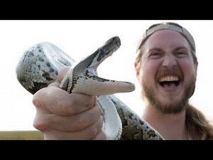 How to Fillet Python