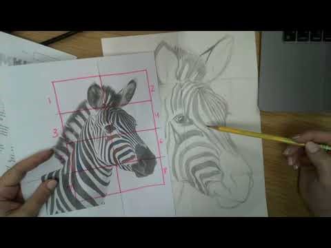 Zebra Step 2: Drawing Zebra Stripes