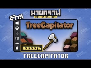 TreeCapitator Addon Review: "Cut down a tree at once" Addon in Minecraft Bedrock