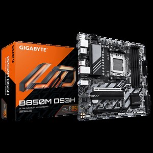 B850M DS3H (Rev. 1.0) - GIGABYTE Global