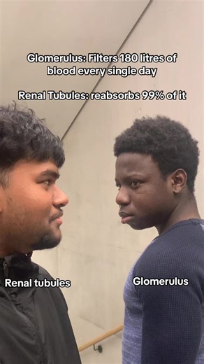 Understanding Selective Re-absorption in Kidneys | A-Level Biology