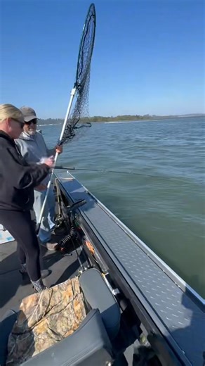 23K views · 328 reactions | Rick Howard Guide Service on Reels | Facebook