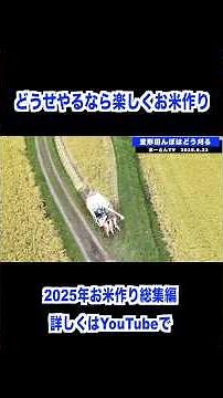 お米作り2025総集編 #農業 #兼業農家 #お米 #稲刈り #コンバイン