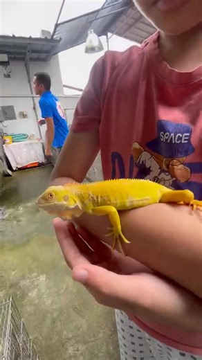 22 reactions | Dragon whisperer. Thank you po  | Mikoi Pasion | Facebook