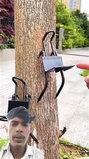 ‎✨ Transform Your Learning & Creativity with Next-Gen Tech! 🚀