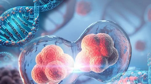 शरीर को स्वस्थ रखने में महत्वपूर्ण भूमिका निभाते हैं 2 सिस्टम