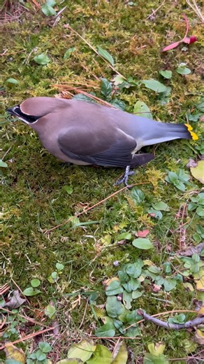 David Ace on Reels | Facebook