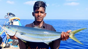 We caught Raibow Runner Fish & Diamond Trevally Fish in the deep sea. | Neerulagam