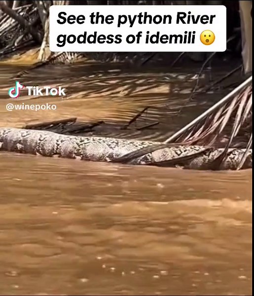 Python River Goddess of Idemili | Unveiling the Mystical Beauty