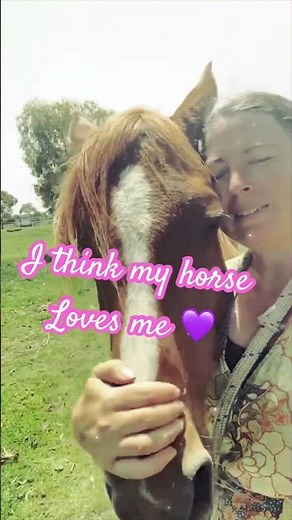 Evidence of LOVE between horses and people | #horselovers #equestrian #horsemanship