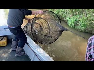 Hoop Nets South Louisiana