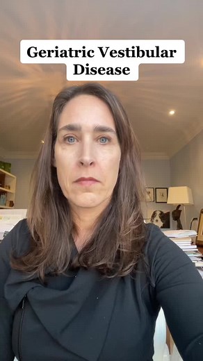 Understanding Geriatric Vestibular Disease in Dogs