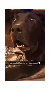 2.2K views · 104 reactions | 藍藍藍 tell me what y’all think is going through dat brain?!? | Marcellus Wiley | Facebook