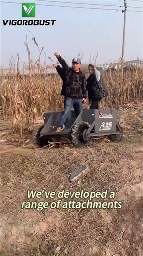 Affordable Low Price Industrial Remotely Controlled Utility Hauler For Sale