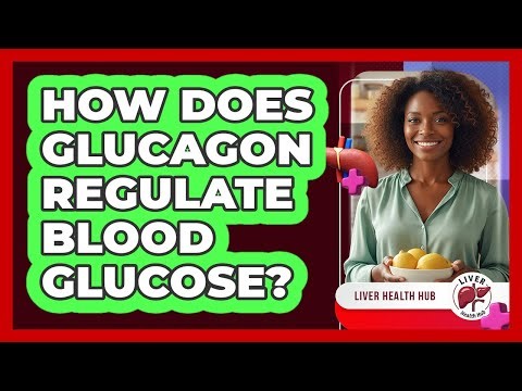 How Does Glucagon Regulate Blood Glucose?