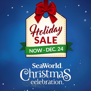 1.3K views · 18 reactions | SeaWorld's Christmas Celebration is back! Save up to 40% on tickets, Fun Cards & Annual Passes, and enjoy millions of lights, spectacular shows, & delicious treats! | SeaWorld Orlando | Facebook