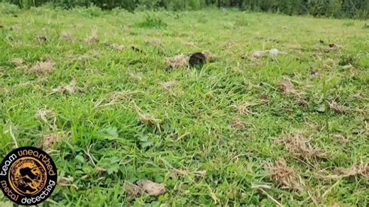 Signal after signal - ancient finds during a UK detecting session