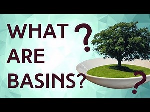 What are Basins? Why use them?